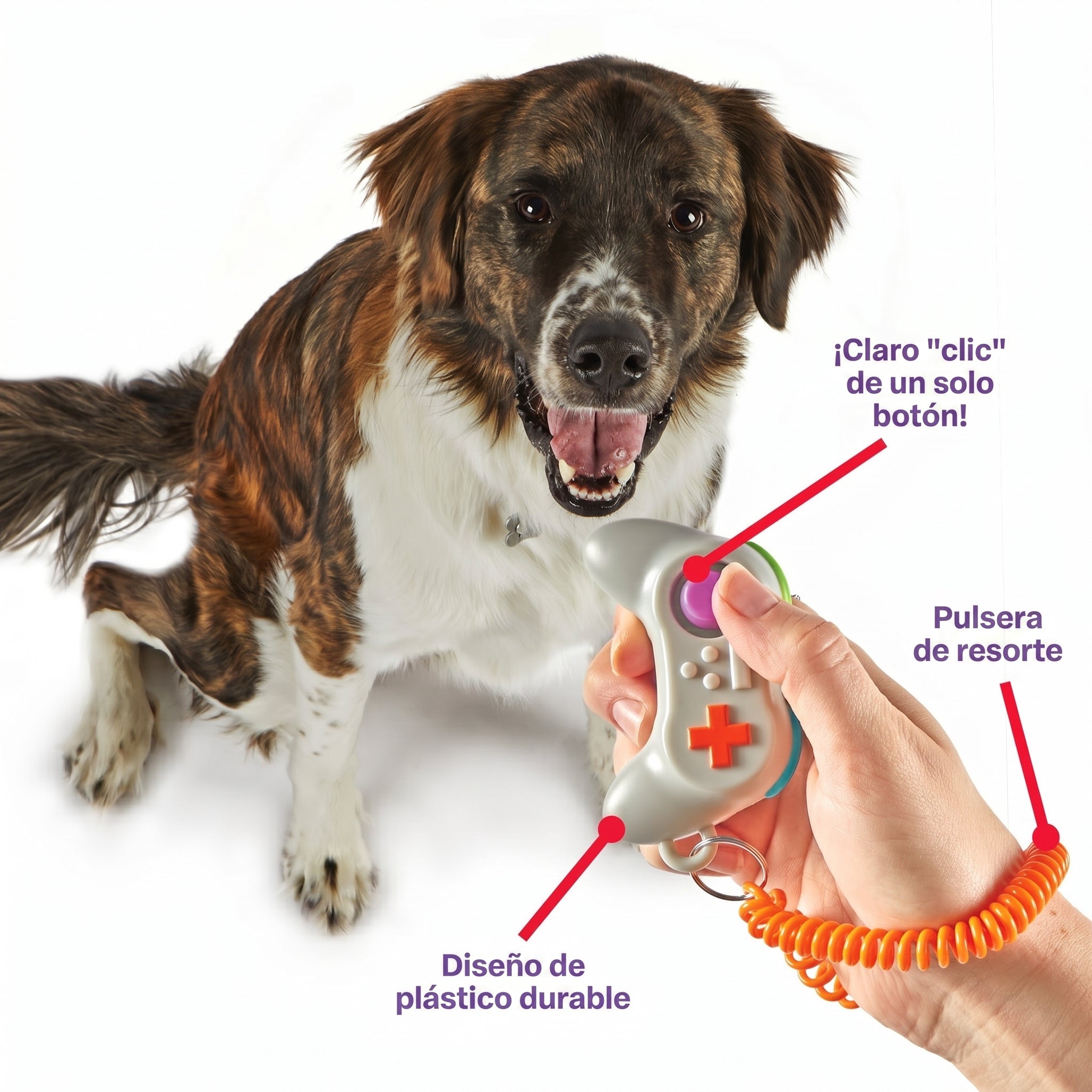 Clicker de Entrenamiento para Perros Smarty Pooch: Control Gamer | Brightkins