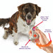 Clicker de Entrenamiento para Perros Smarty Pooch: Control Gamer | Brightkins