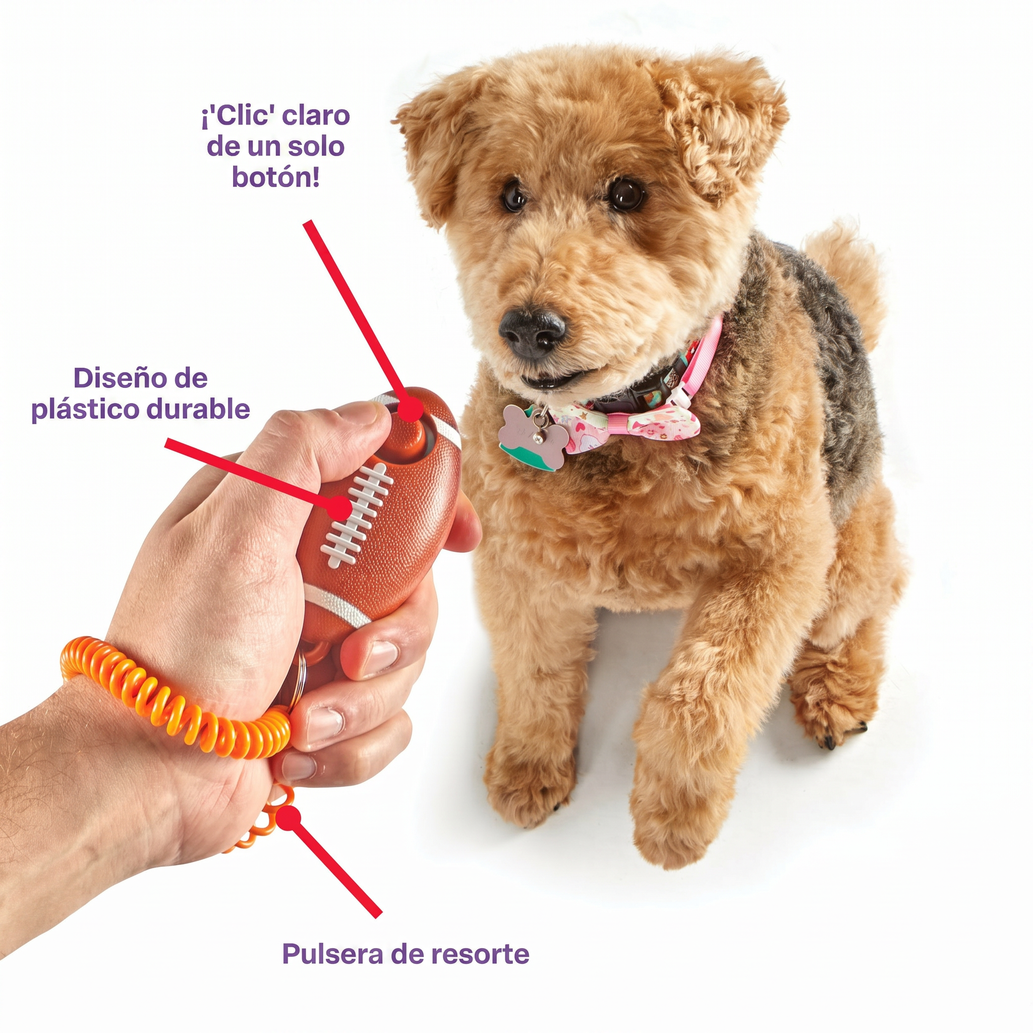 Clicker de Entrenamiento para Perros Smarty Pooch: Football | Brightkins