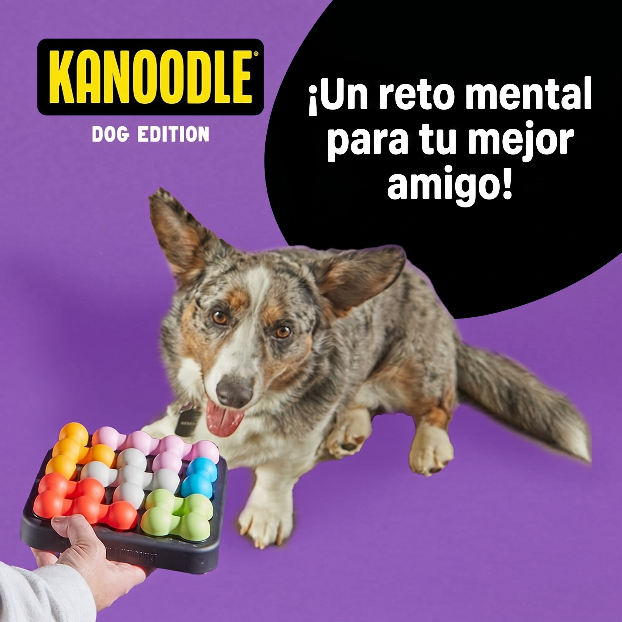 Kanoodle Dog Edition