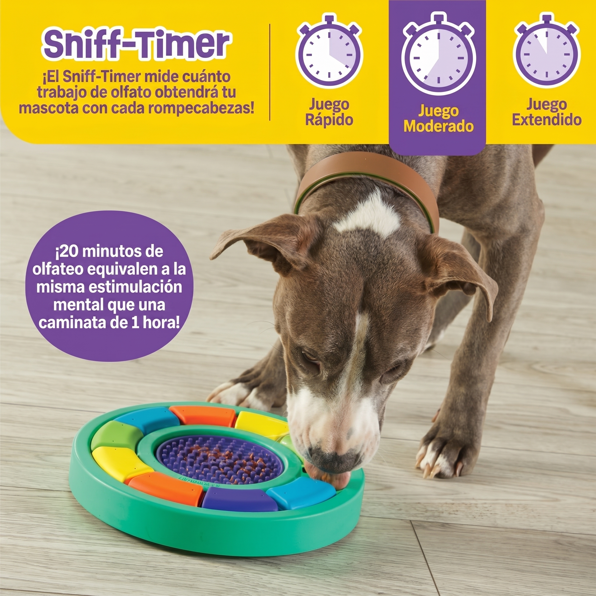 Rompecabezas + Tapete Lamedor para Perros Color Wheel | Brightkins