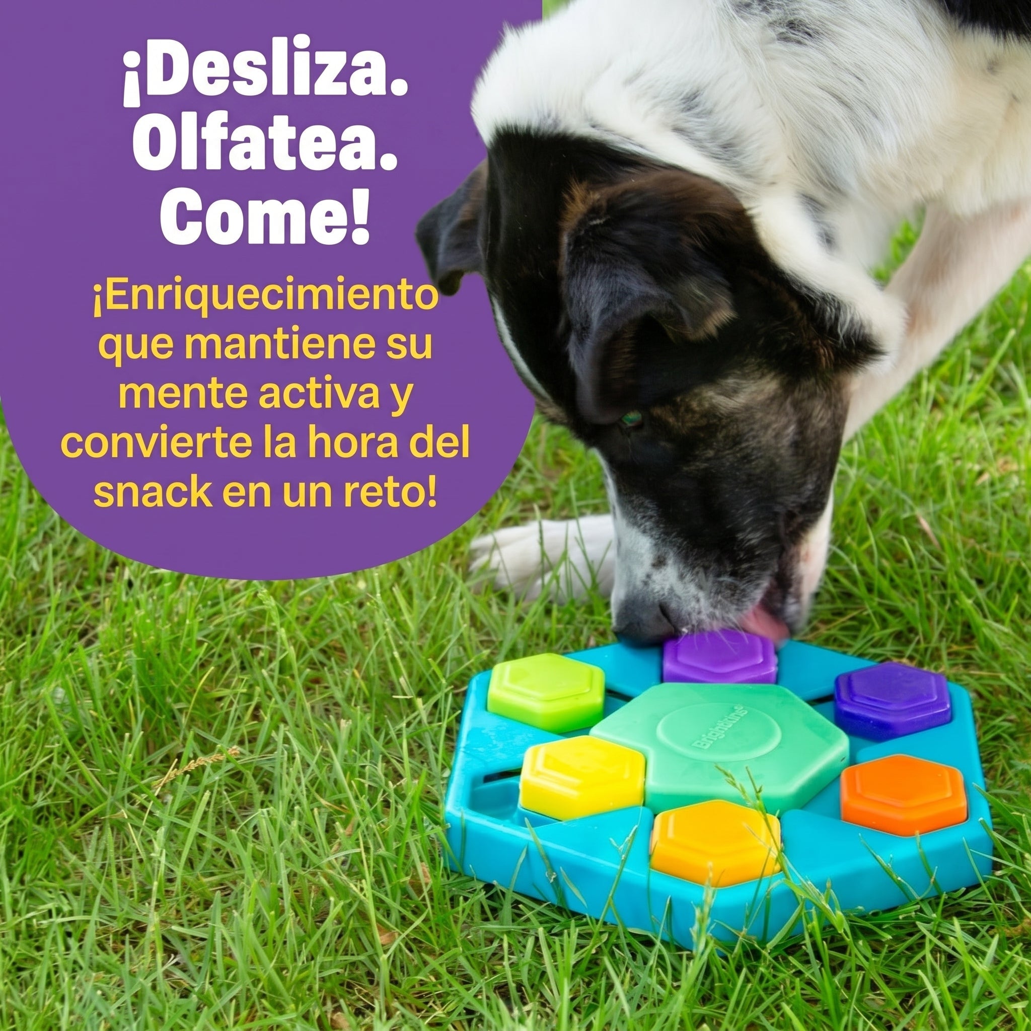 Juguete Rompecabezas para Perros Spin & Seek Hexagono | Brightkins