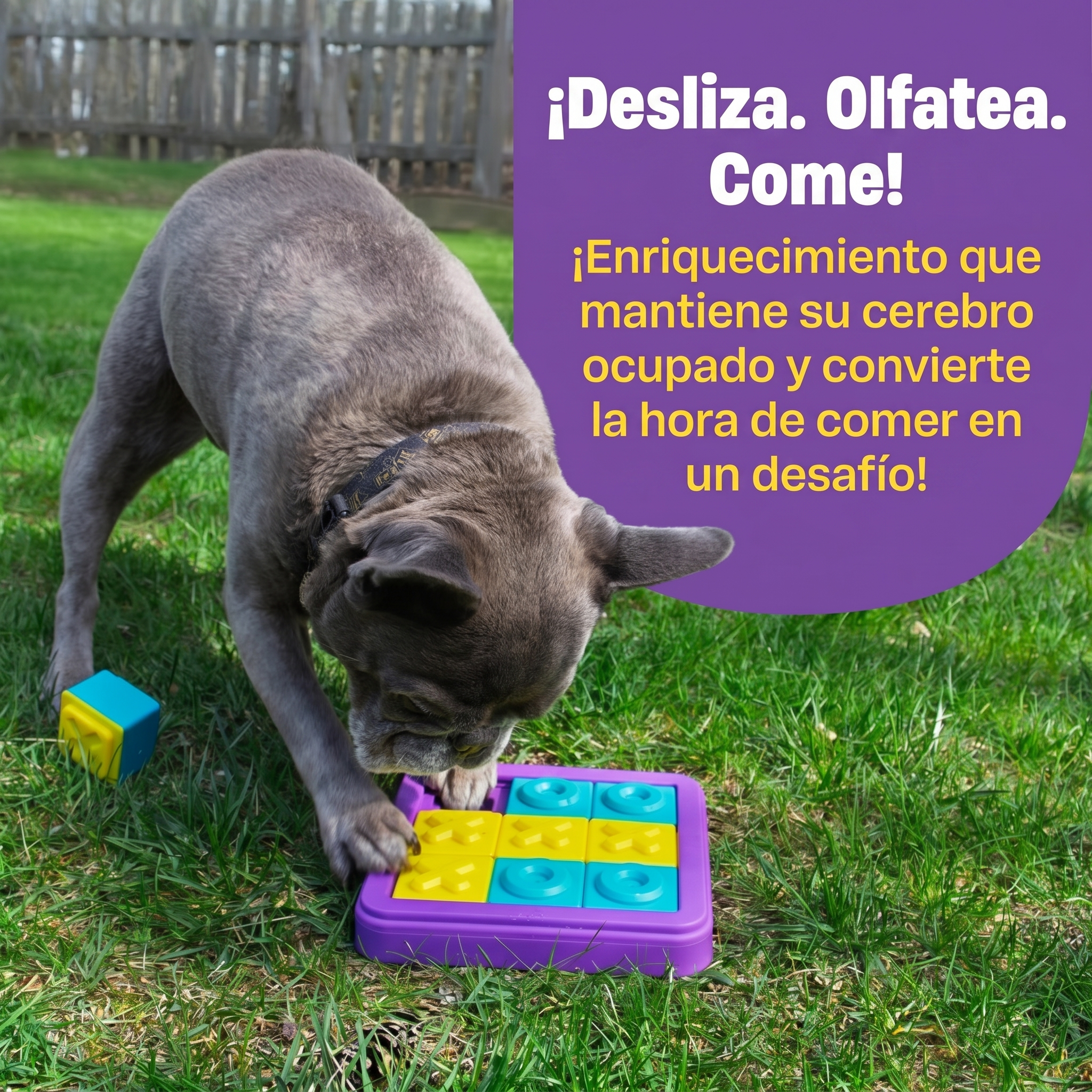 Juguete Rompecabezas para Perros Tic-Tac-Toe | Brightkins