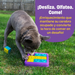 Juguete Rompecabezas para Perros Tic-Tac-Toe | Brightkins