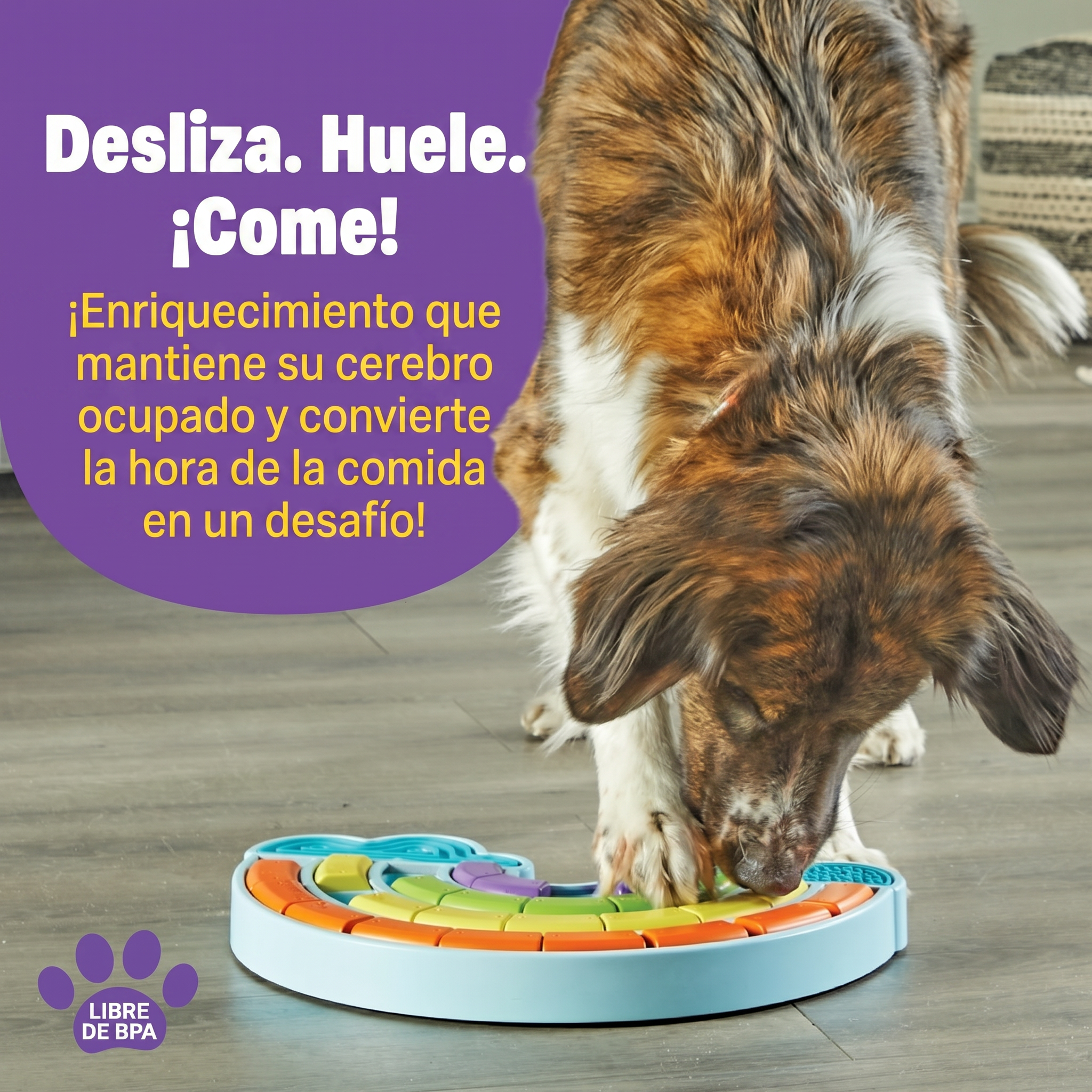 Rompecabezas + Tapetes Lamedores para Perros Calming Rainbow | Brightkins
