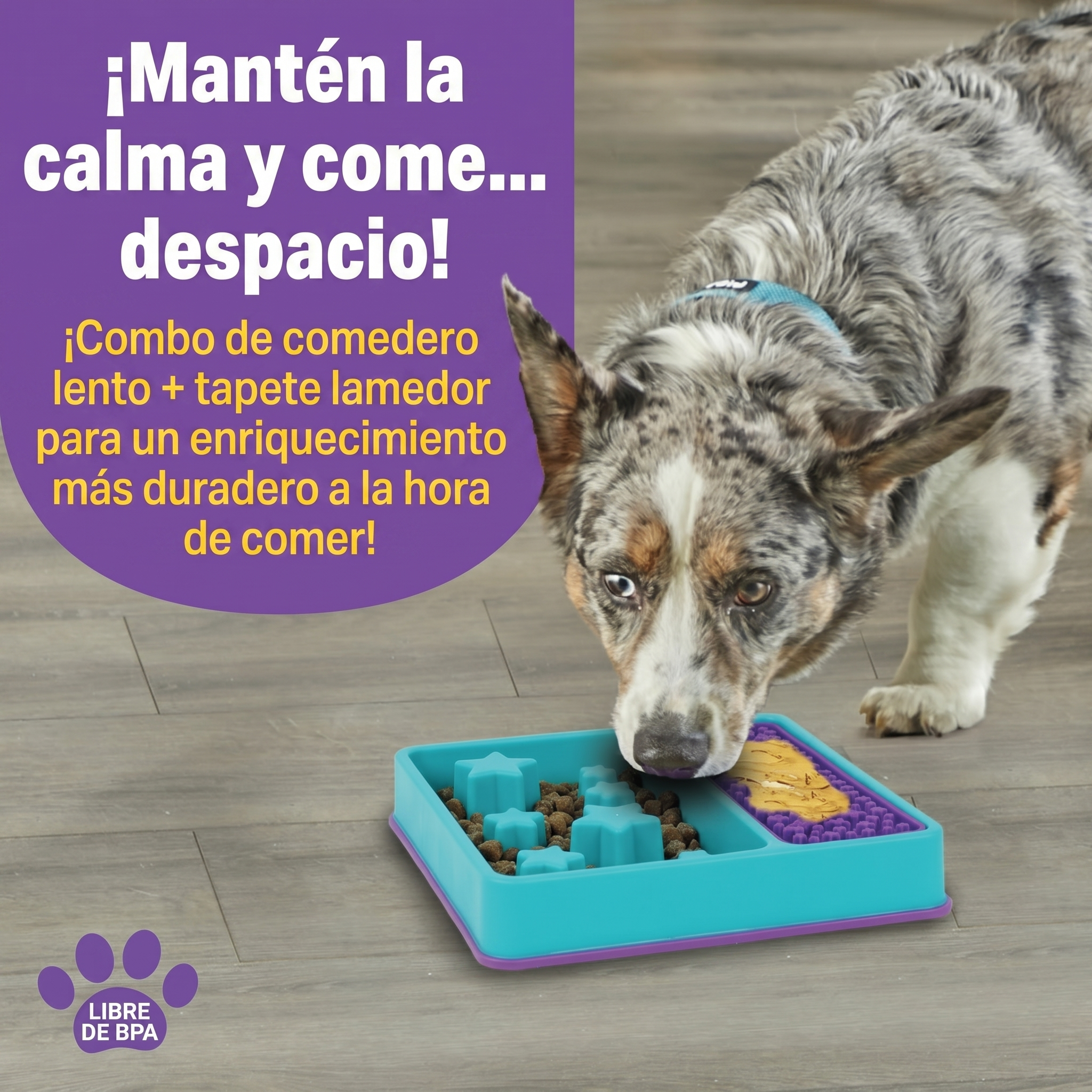 Comedero Lento 2 en 1 + Tapete Lamedor Cuadrado para Perros | Brightkins