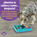 Comedero Lento 2 en 1 + Tapete Lamedor Cuadrado para Perros | Brightkins