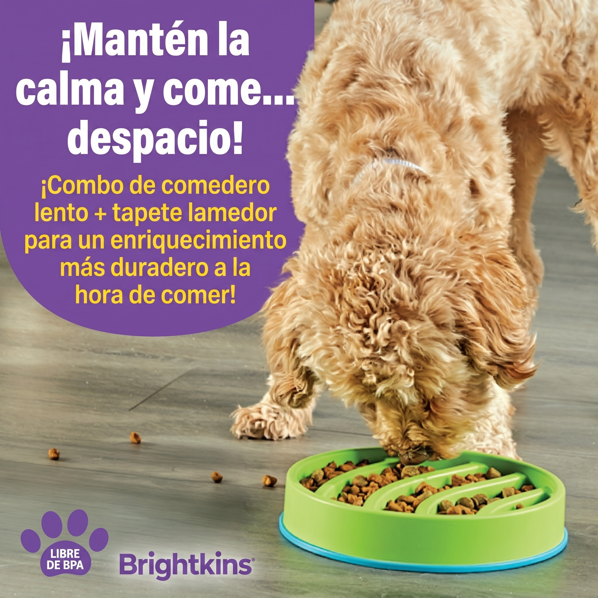 Comedero Lento 2 en 1 + Tapete Lamedor Circular para Perros | Brightkins