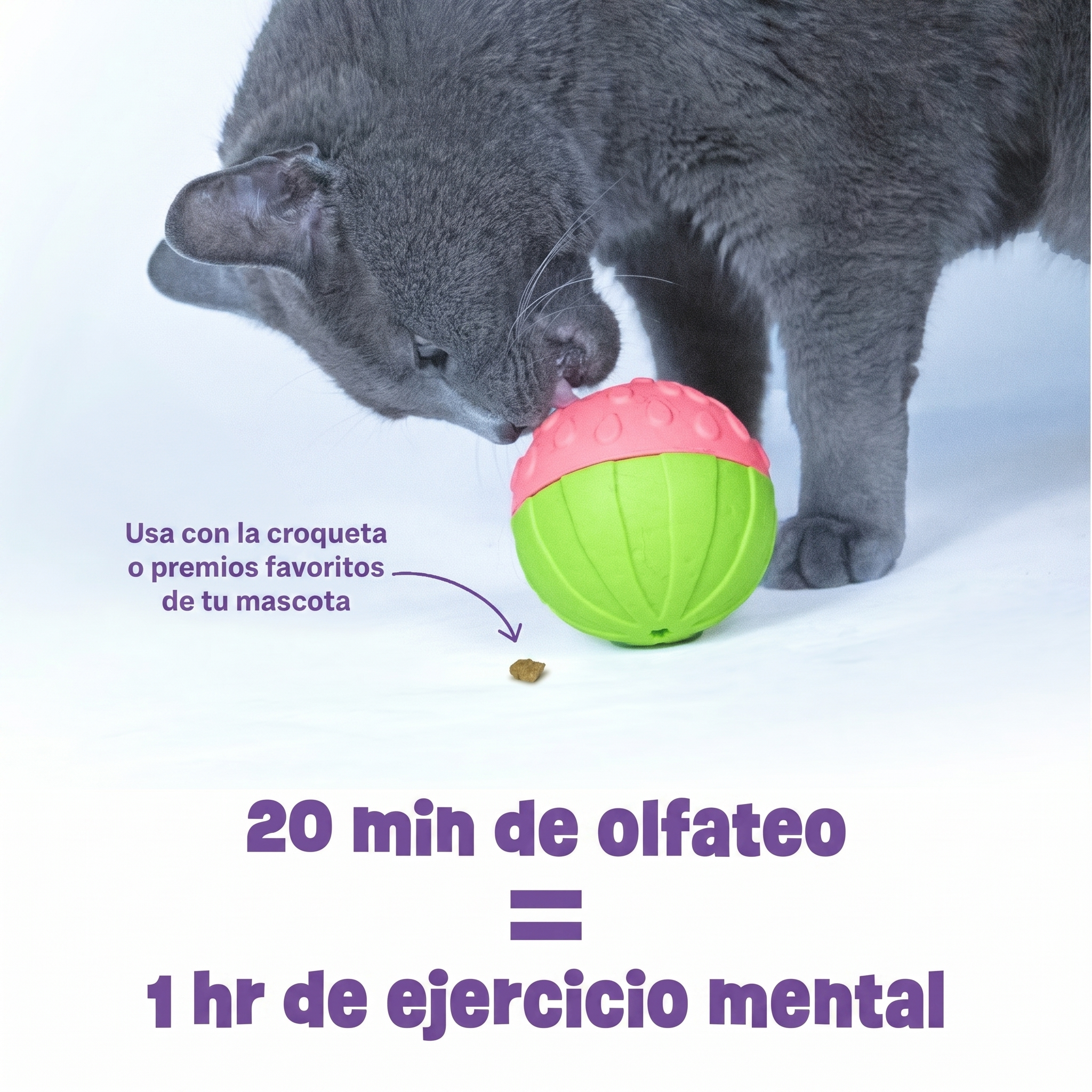 Dispensador de Premios para Perros Sandia Tough & Tumble | Brightkins
