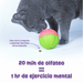 Dispensador de Premios para Perros Sandia Tough & Tumble | Brightkins