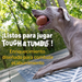 Dispensador de Premios para Perros Football Tough & Tumble | Brightkins