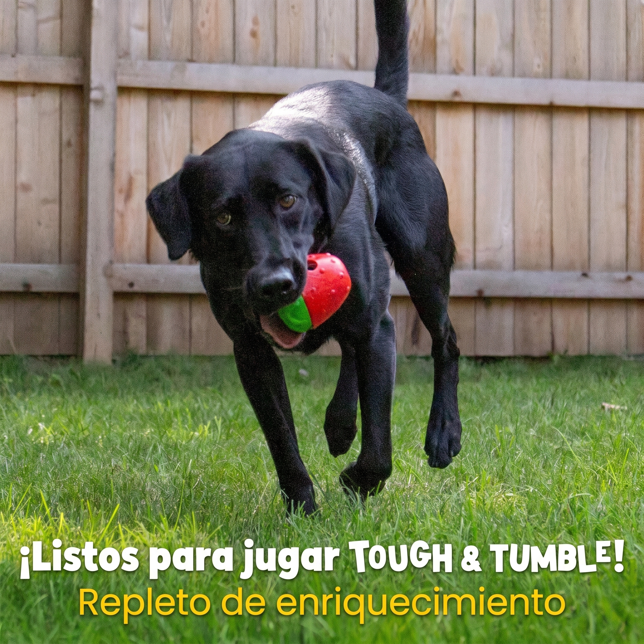 Dispensador de Premios para Perros Fresa Tough & Tumble | Brightkins
