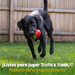 Dispensador de Premios para Perros Fresa Tough & Tumble | Brightkins