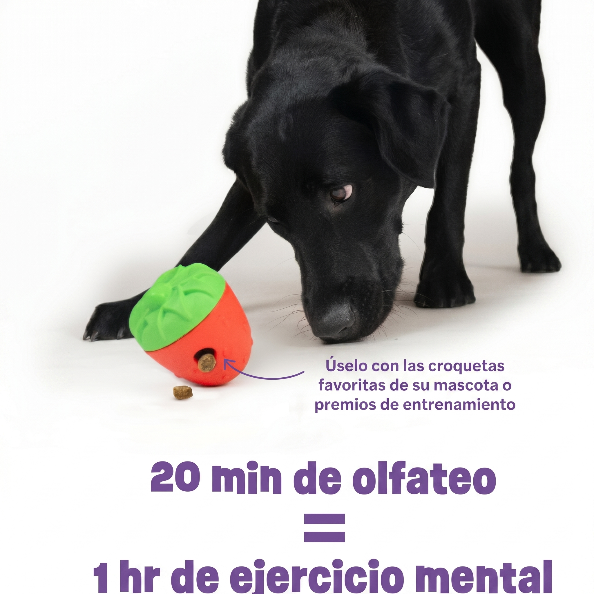 Dispensador de Premios para Perros Fresa Tough & Tumble | Brightkins