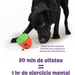 Dispensador de Premios para Perros Fresa Tough & Tumble | Brightkins