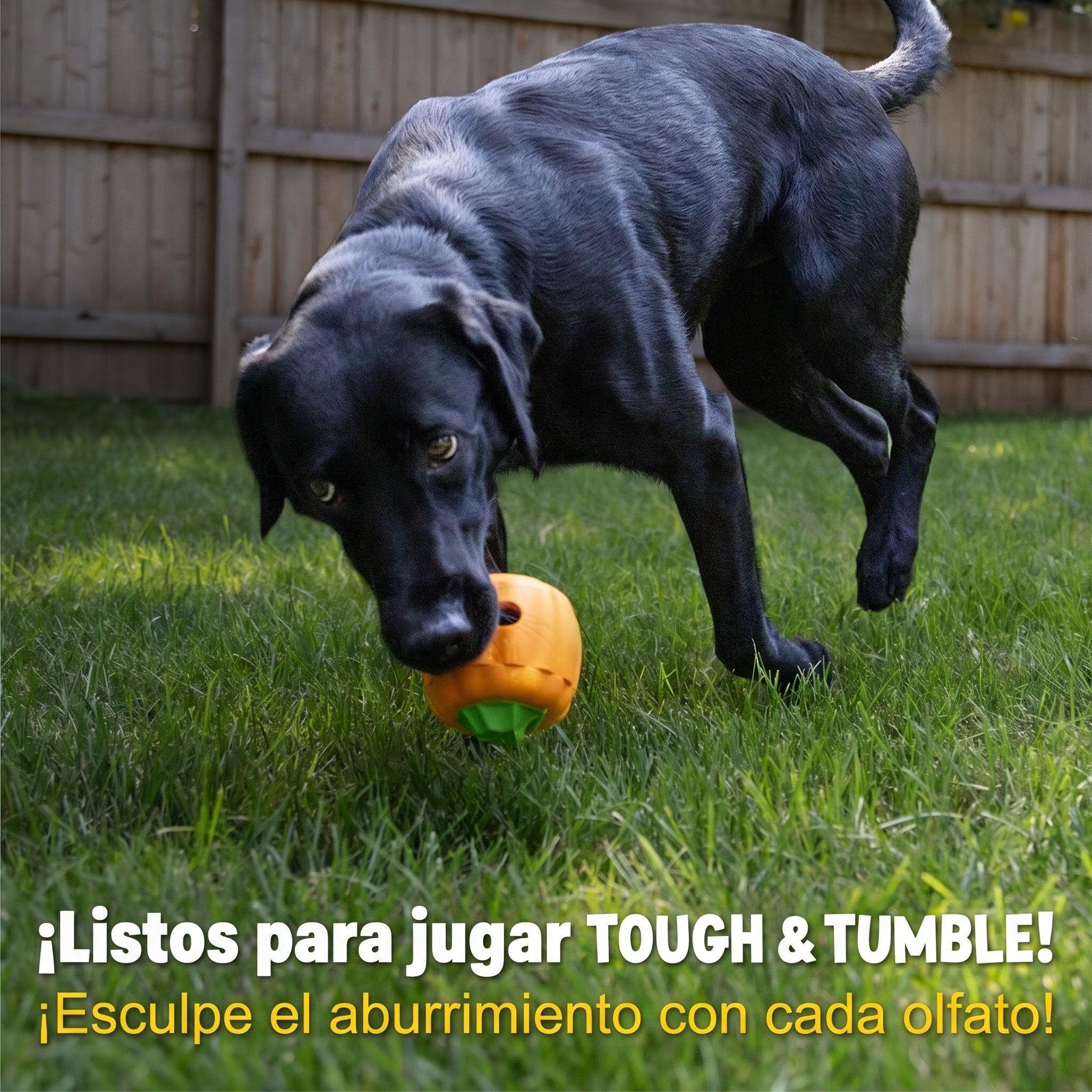 Dispensador de Premios para Perros Calabaza Tough & Tumble | Brightkins