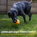 Dispensador de Premios para Perros Calabaza Tough & Tumble | Brightkins
