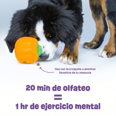 Dispensador de Premios para Perros Calabaza Tough & Tumble | Brightkins