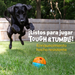 Tough & Tumble Pelota Texturizada