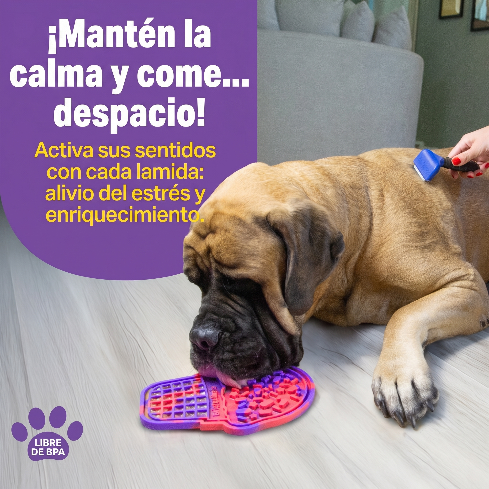 Tapete Lamedor para Perros y Gatos Cono de Helado | Brightkins