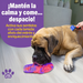 Tapete Lamedor para Perros y Gatos Cono de Helado | Brightkins