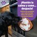 Tapete Lamedor para Perros Football | Brightkins