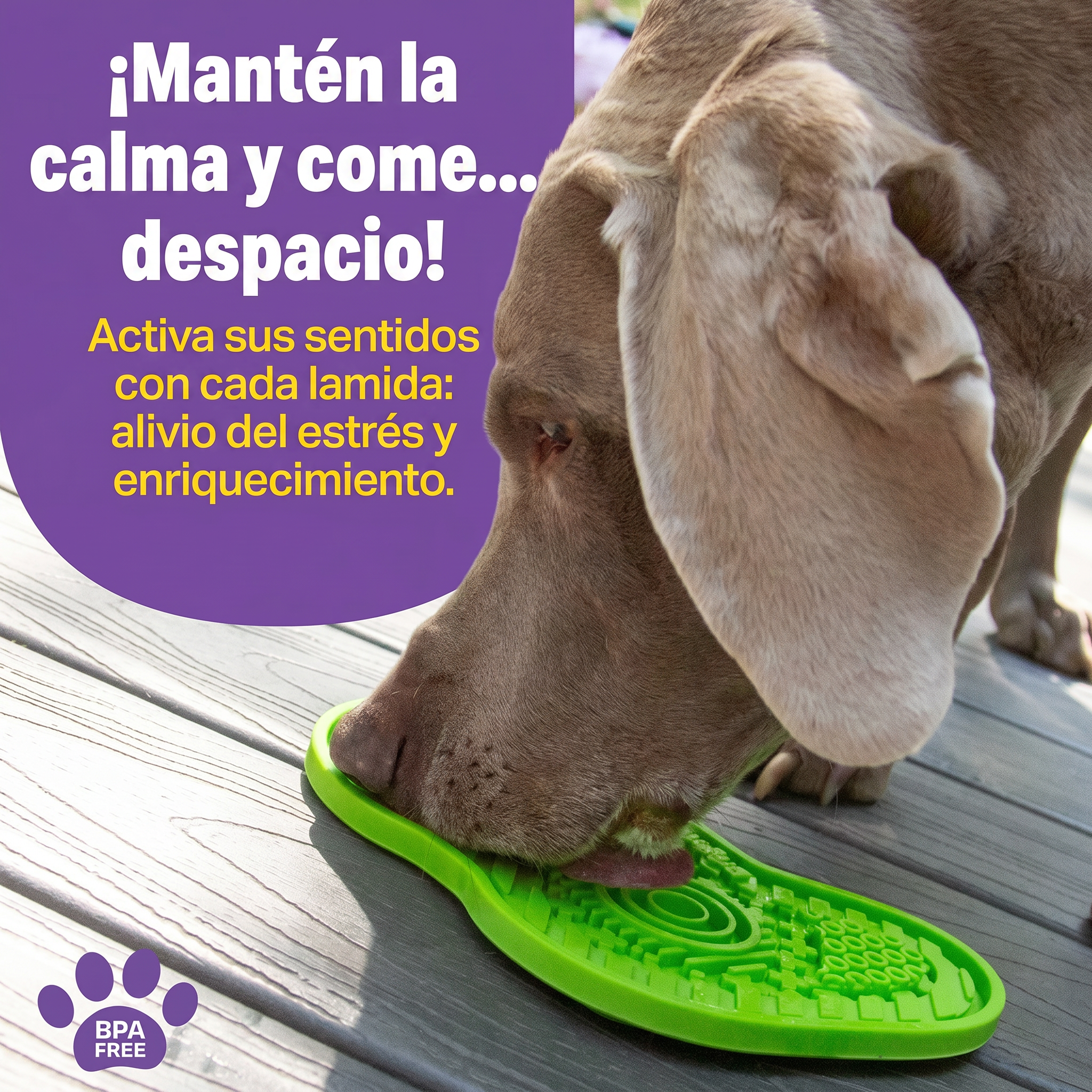 Tapete Lamedor para Perros Gamer | Brightkins