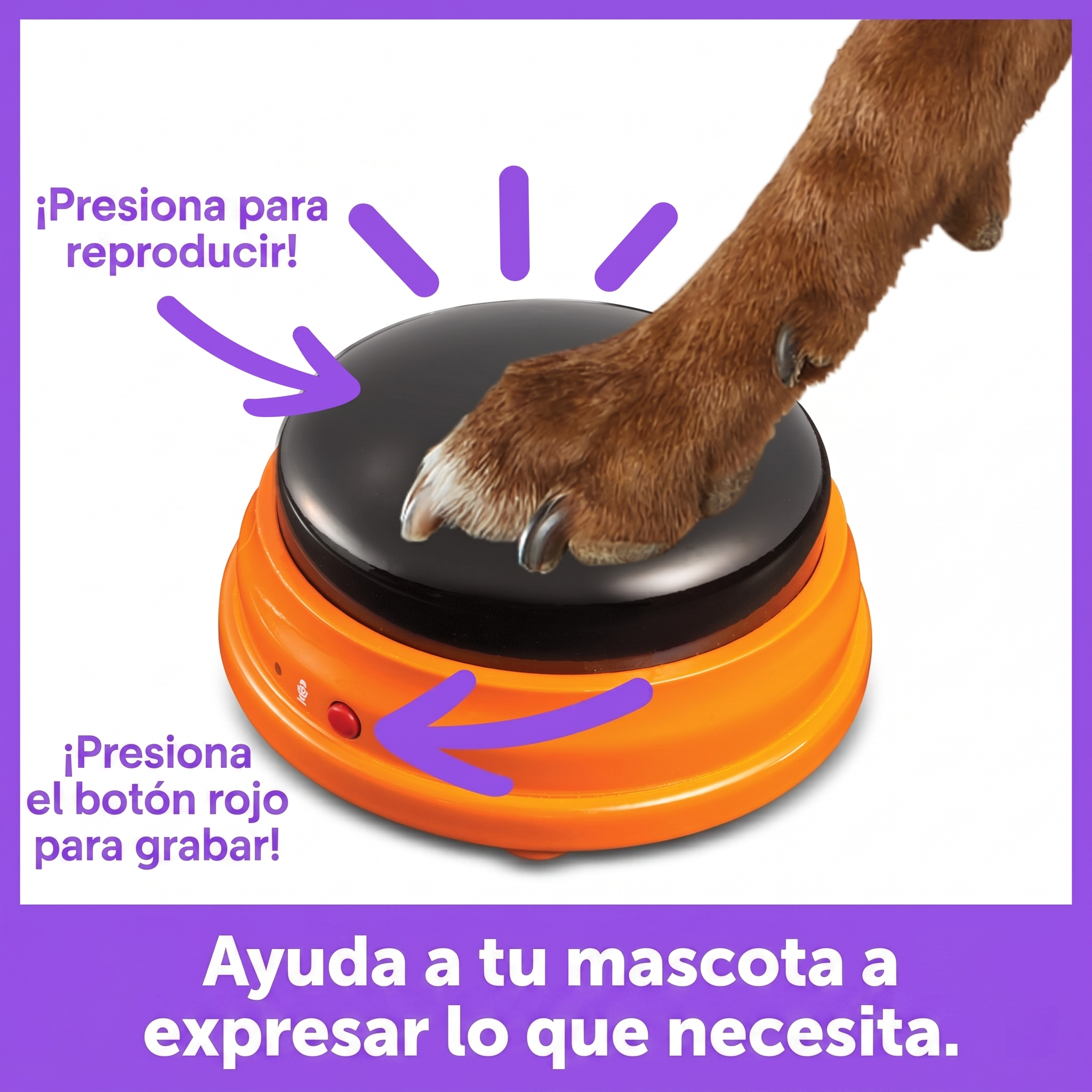 Set de Inicio Botones Parlantes para Mascotas | Hunger for Words