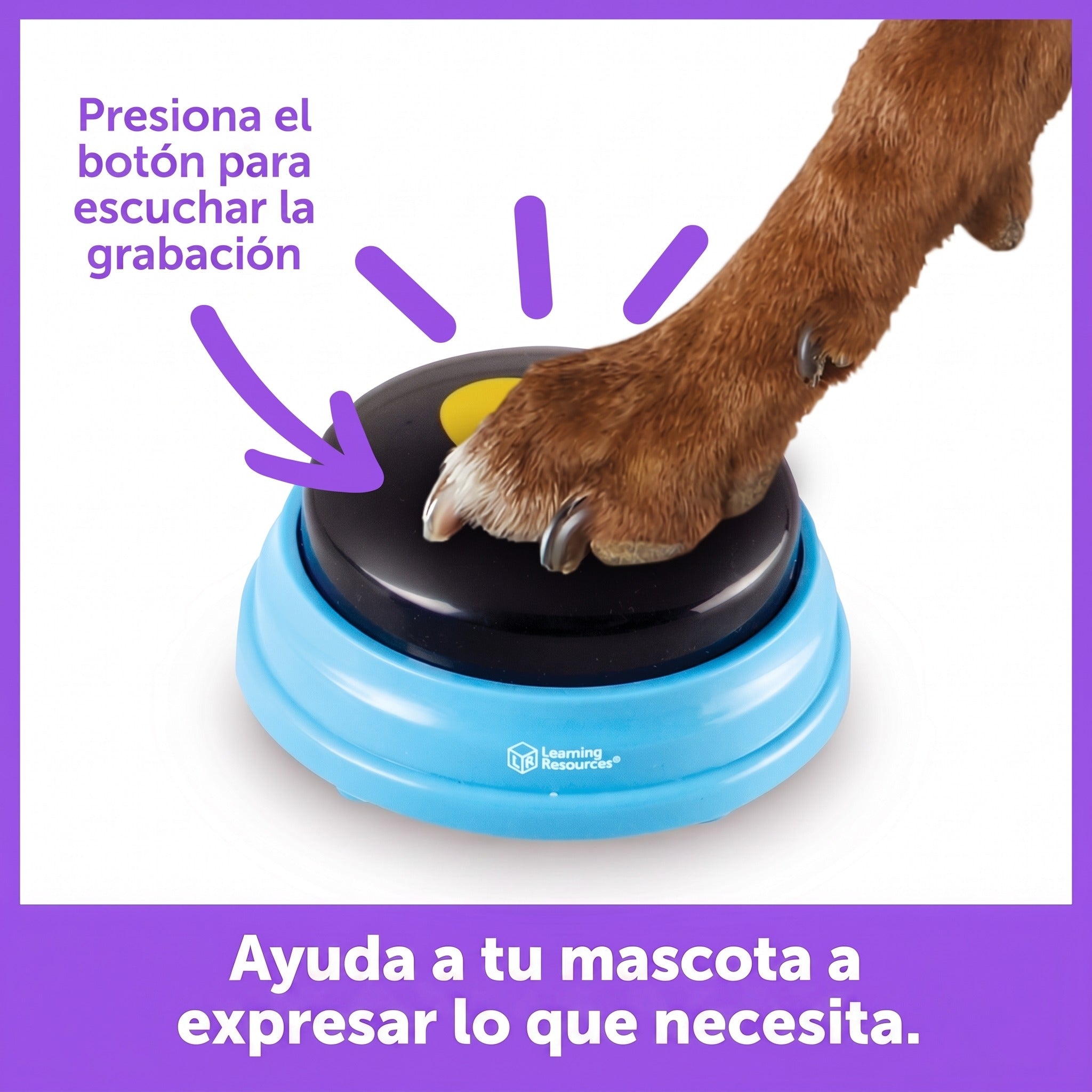 Botones Parlantes para Perros Essential Words: Set de 6 Palabras | Hunger for Words