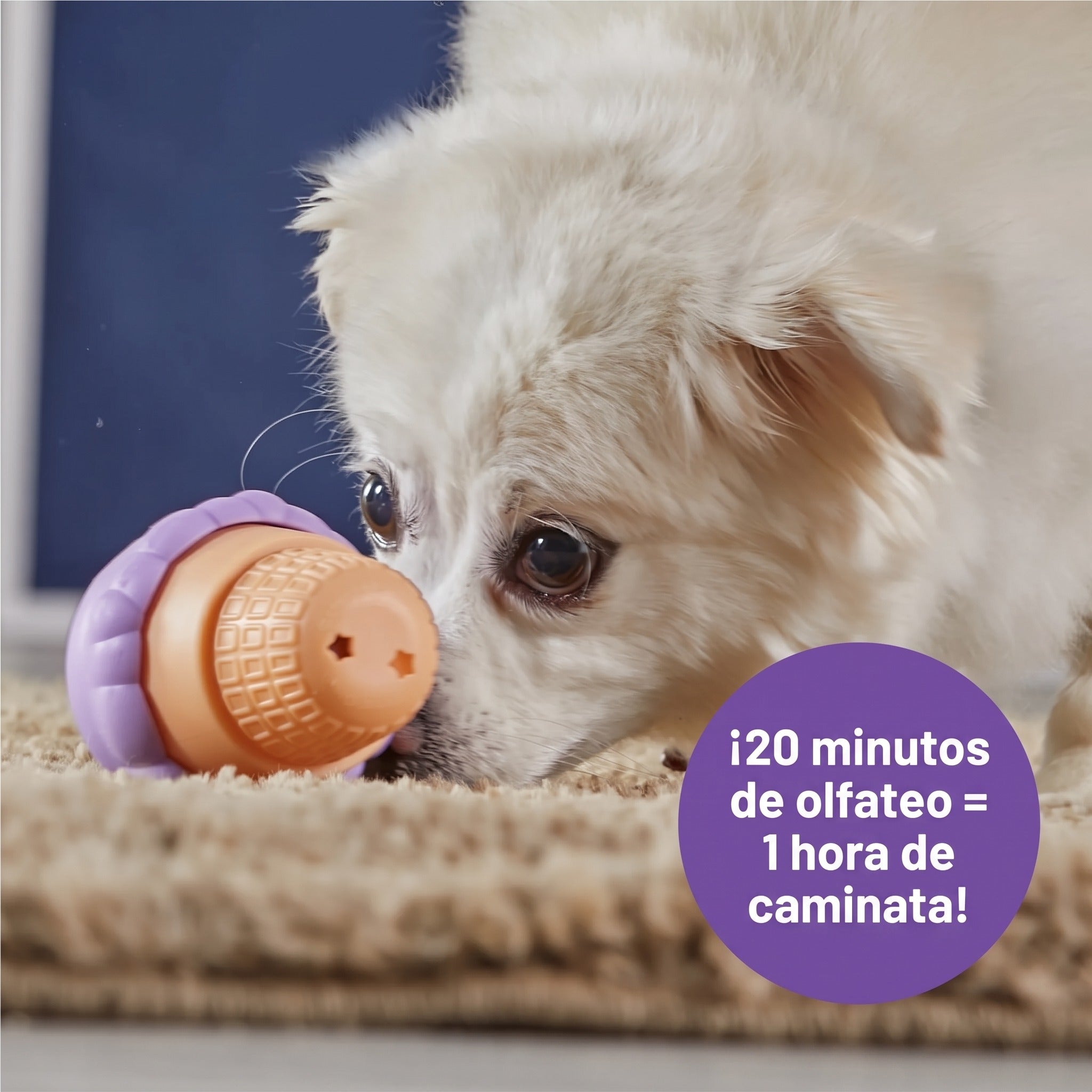 Juguete para Perros Ice Cream Treat Dispenser - Dispensador de Premios en Forma de Helado | Brightkins