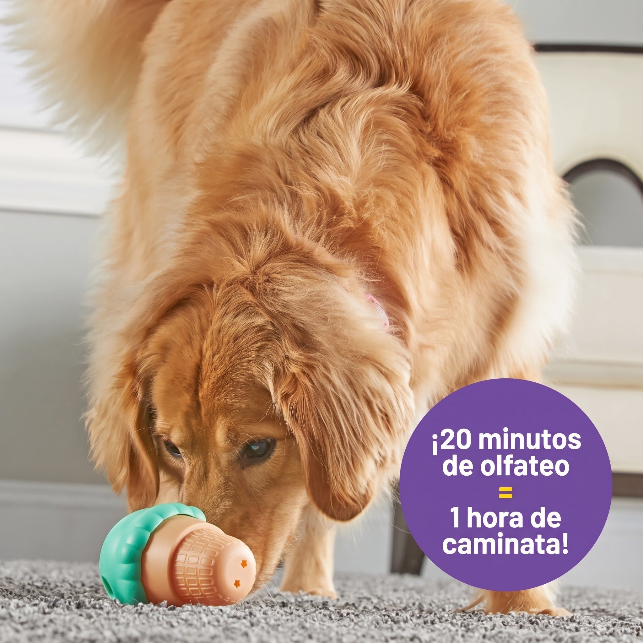 Juguete para Perros Ice Cream Treat Dispenser - Dispensador de Premios en Forma de Helado | Brightkins