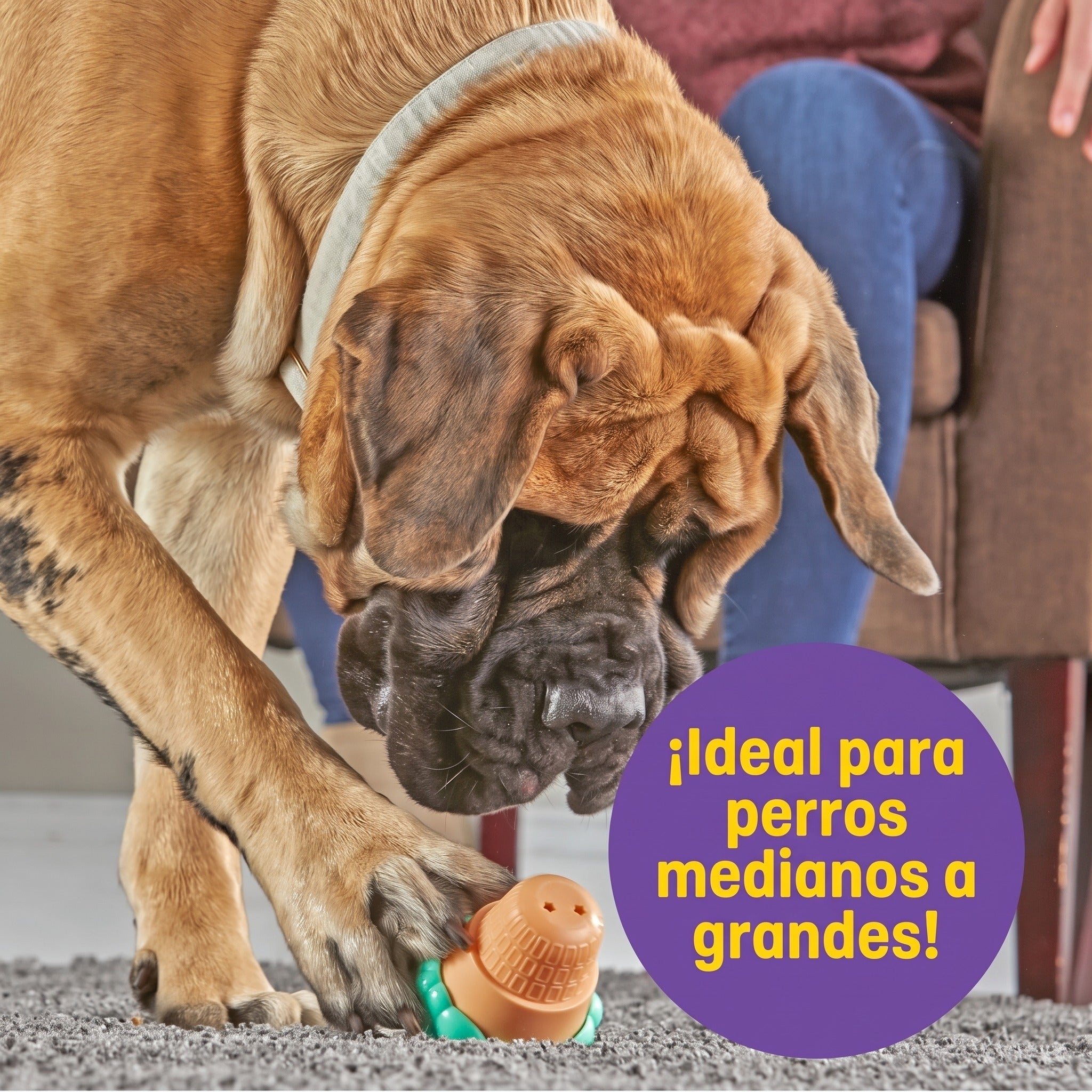 Juguete para Perros Ice Cream Treat Dispenser - Dispensador de Premios en Forma de Helado | Brightkins