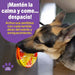 Tapete Lamedor para Perros y Gatos Tie Dye Circulo | Brightkins