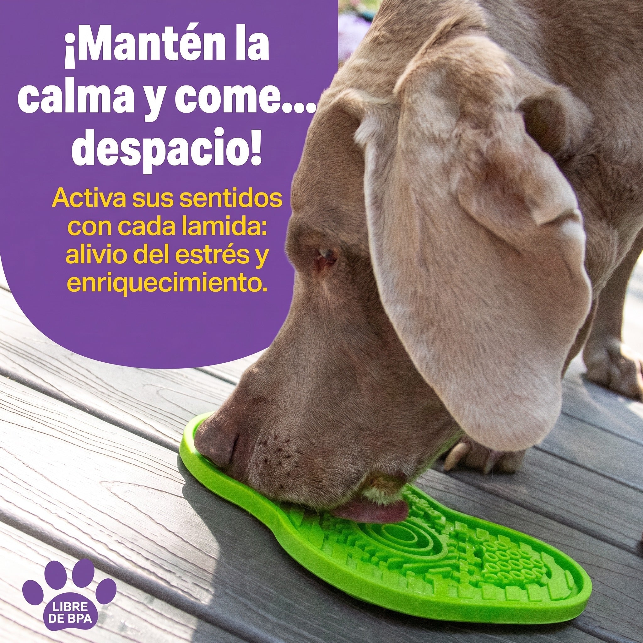 Tapete Lamedor para Perros Gamer | Brightkins