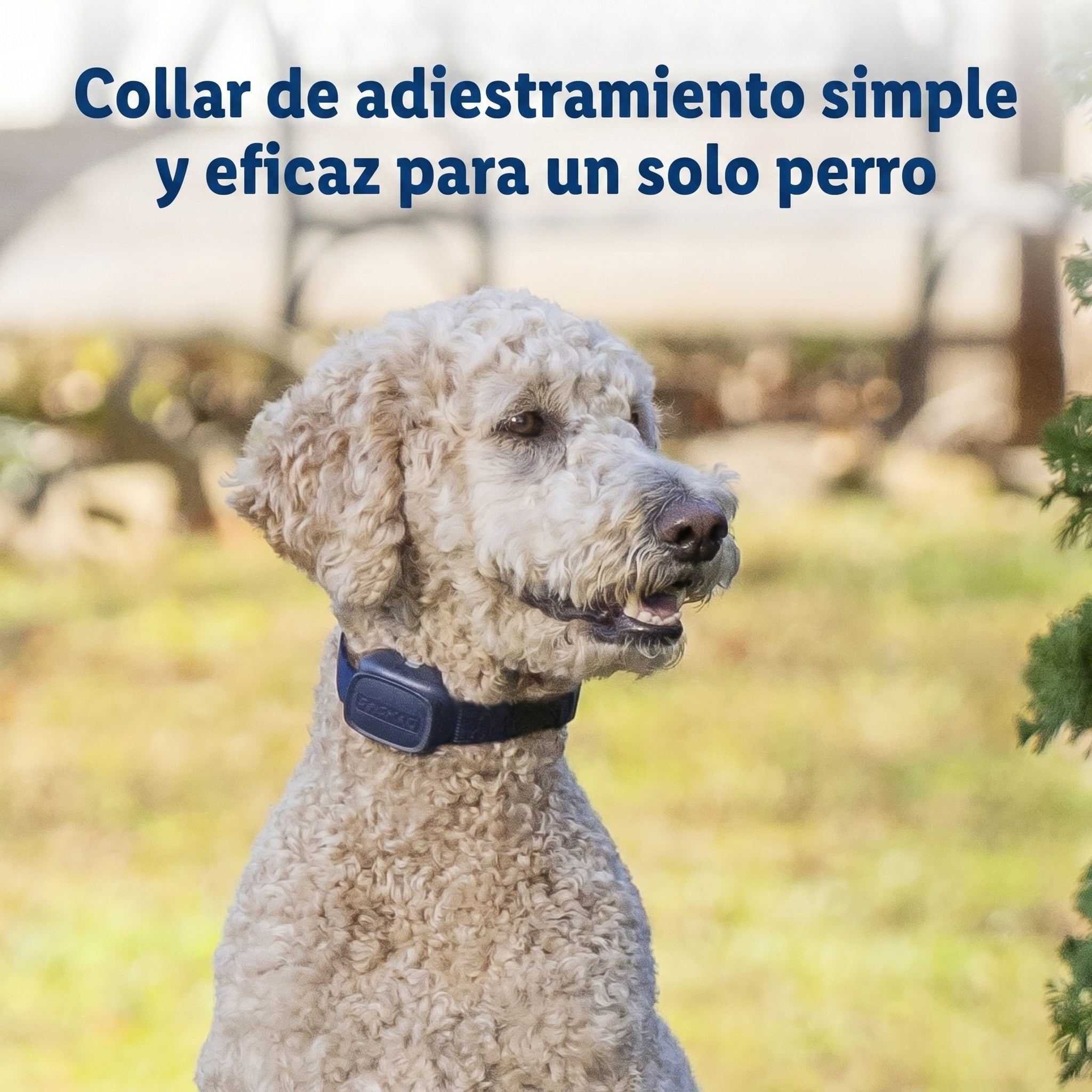 Basic Trainer PetSafe fácil de usar