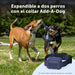 Entrena a dos perros con Add-A-Dog