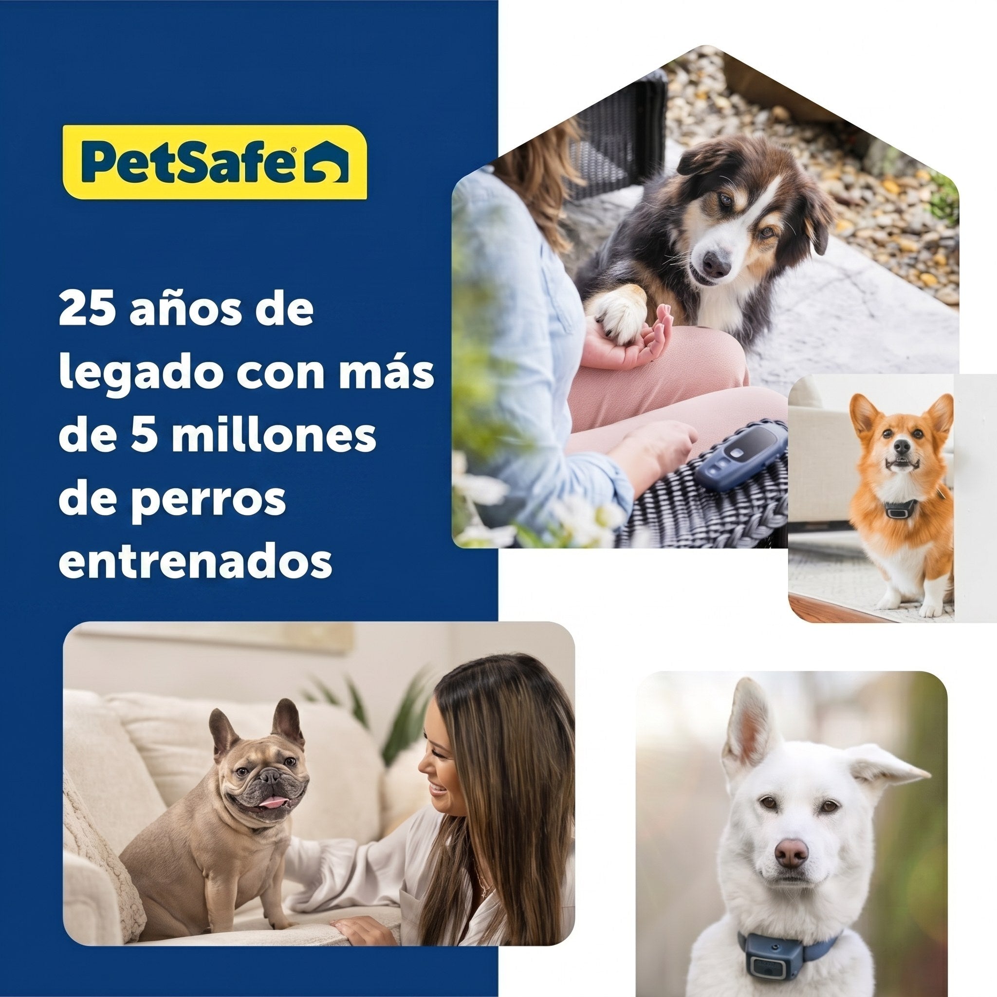 PetSafe, más de 25 años entrenando perros