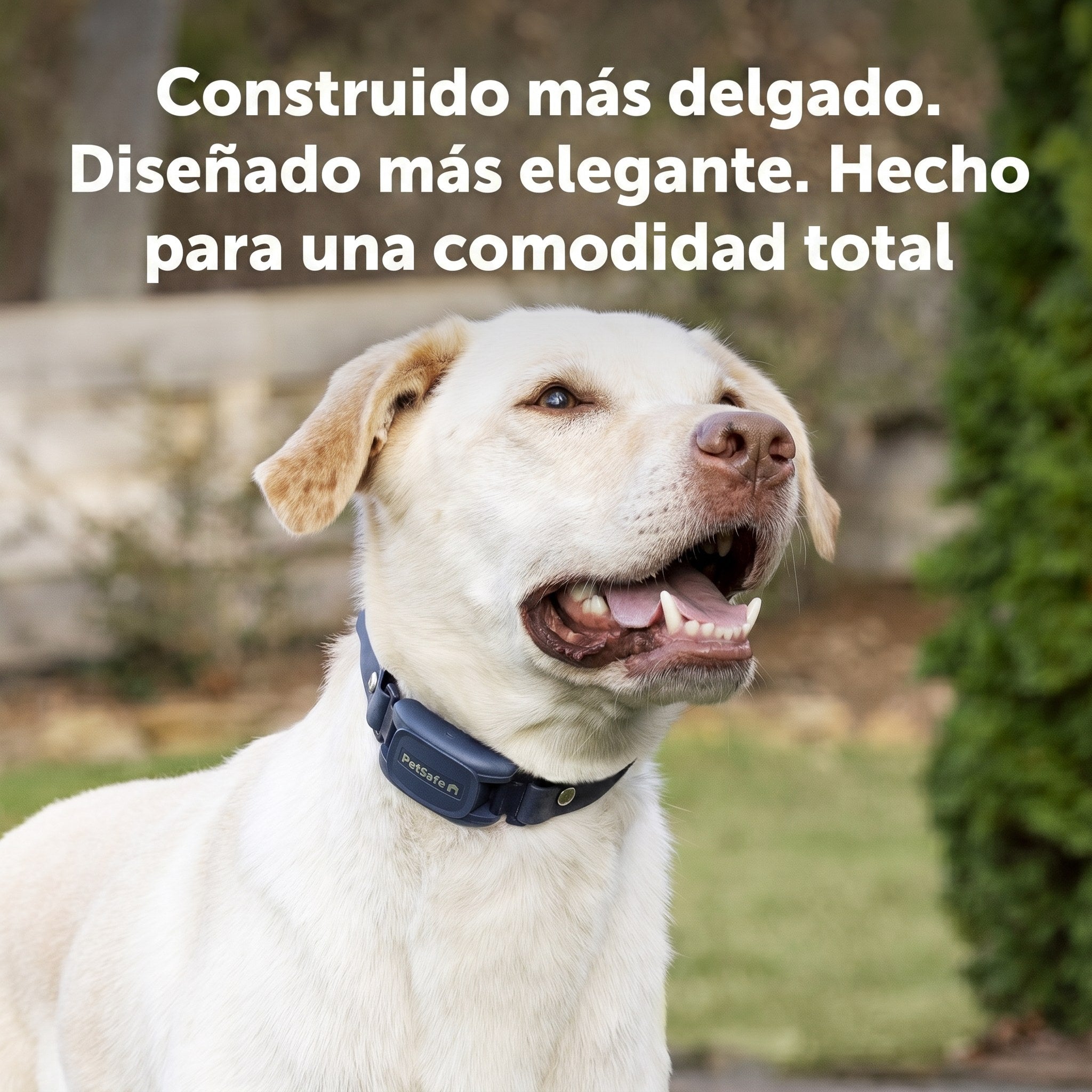 Collar Pro Trainer 30% más delgado