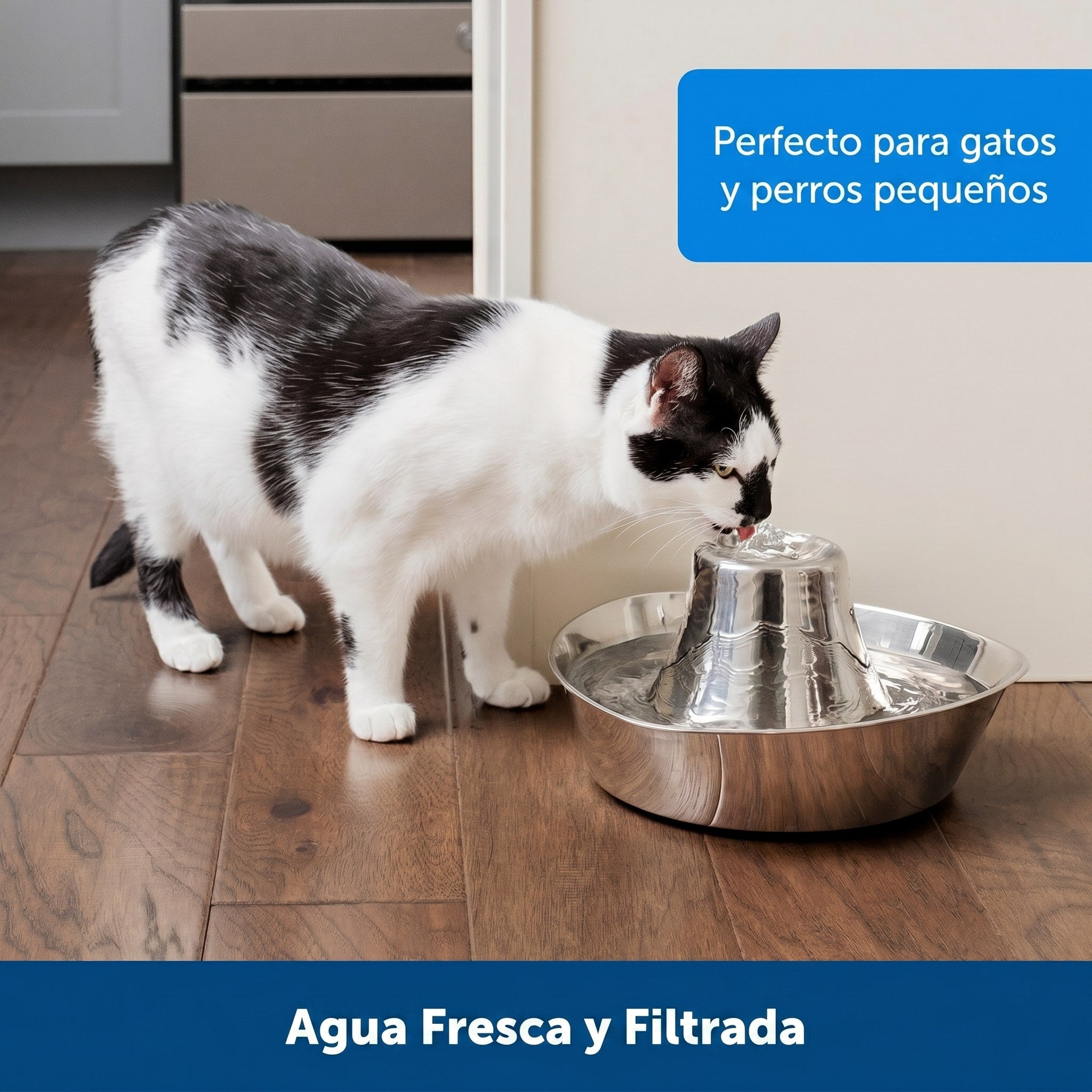 Gato bebiendo de la fuente Seaside PetSafe