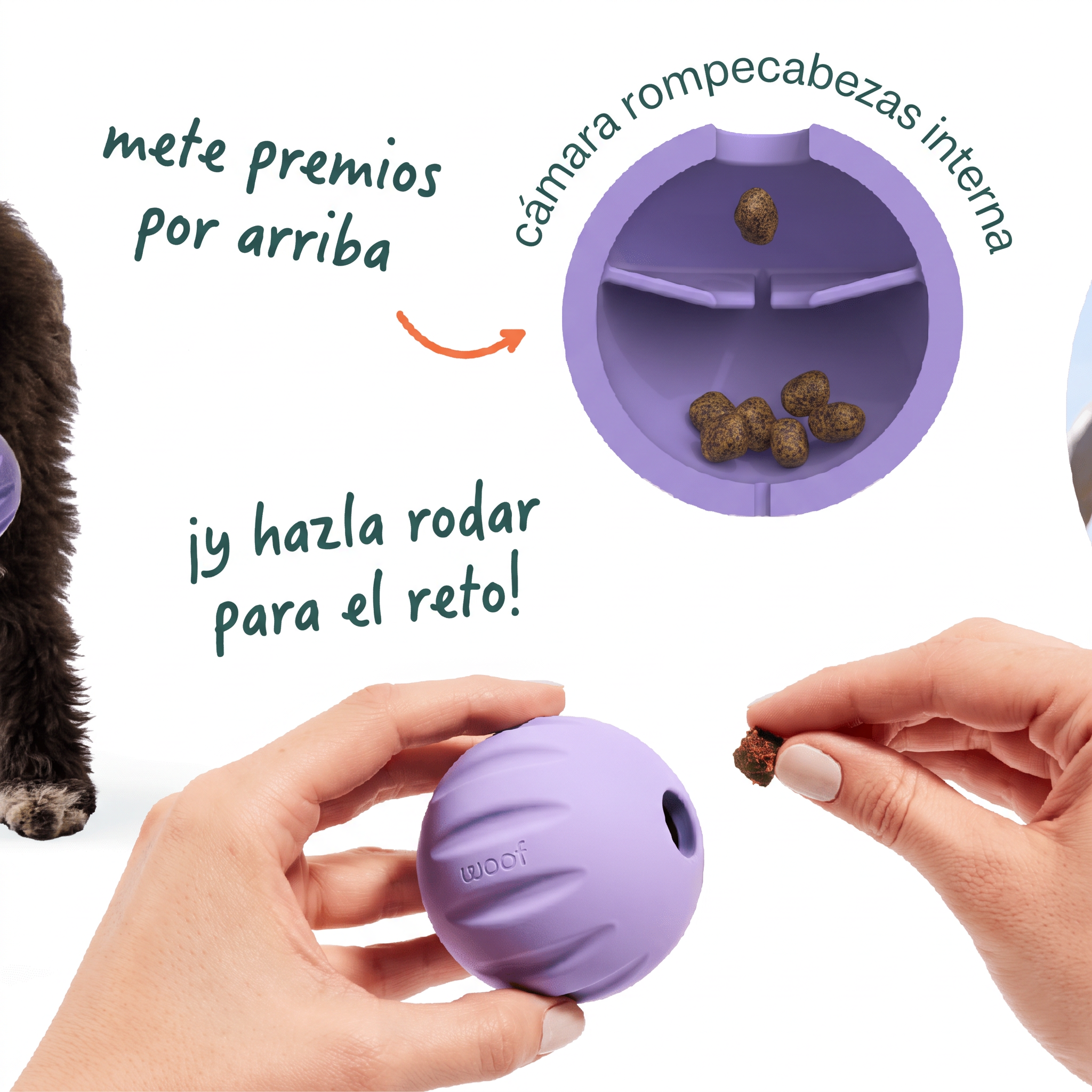 Como cargar la Flyball: mete premios por arriba y hazla rodar