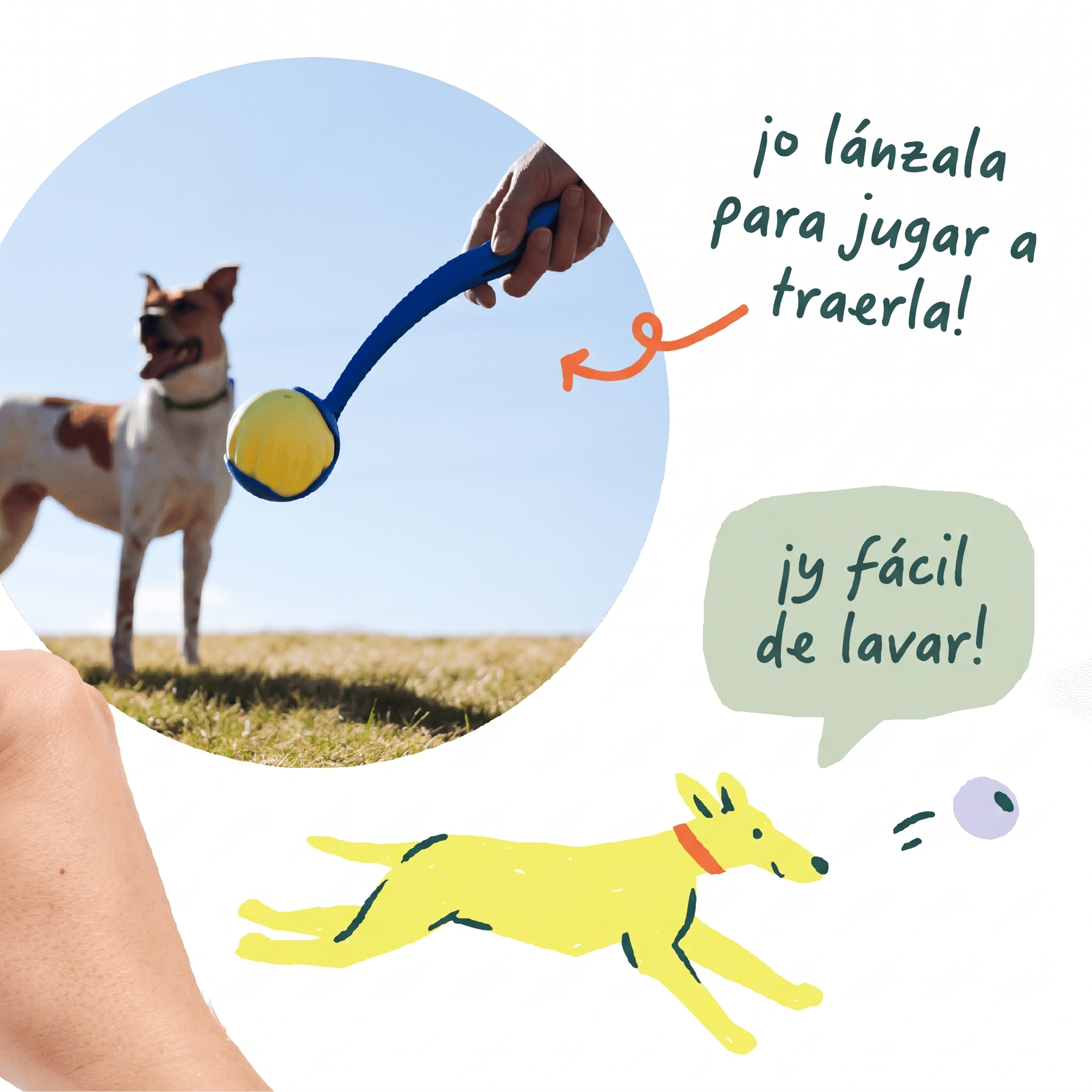 Flyball de Woof compatible con lanzadores y fácil de lavar