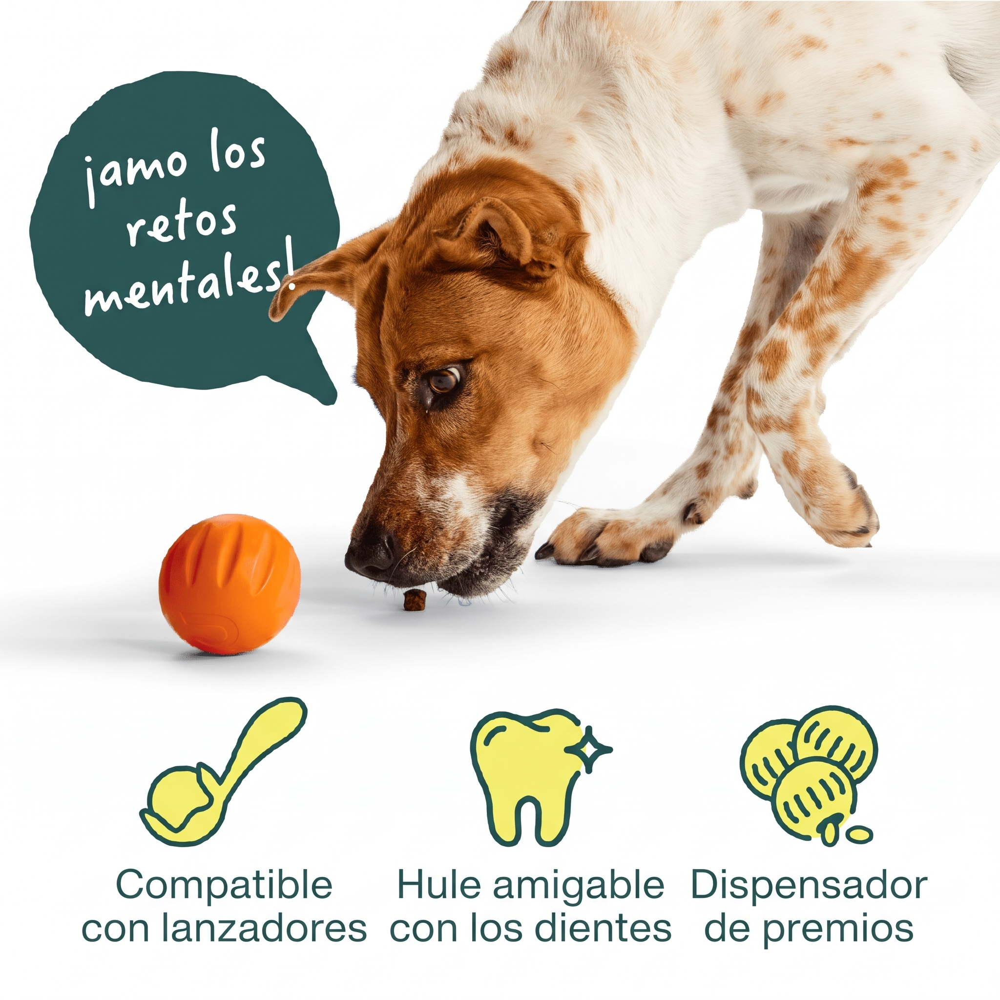 Flyball de Woof: compatible con lanzadores, hule amigable con los dientes y dispensador de premios