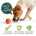 Flyball de Woof: compatible con lanzadores, hule amigable con los dientes y dispensador de premios