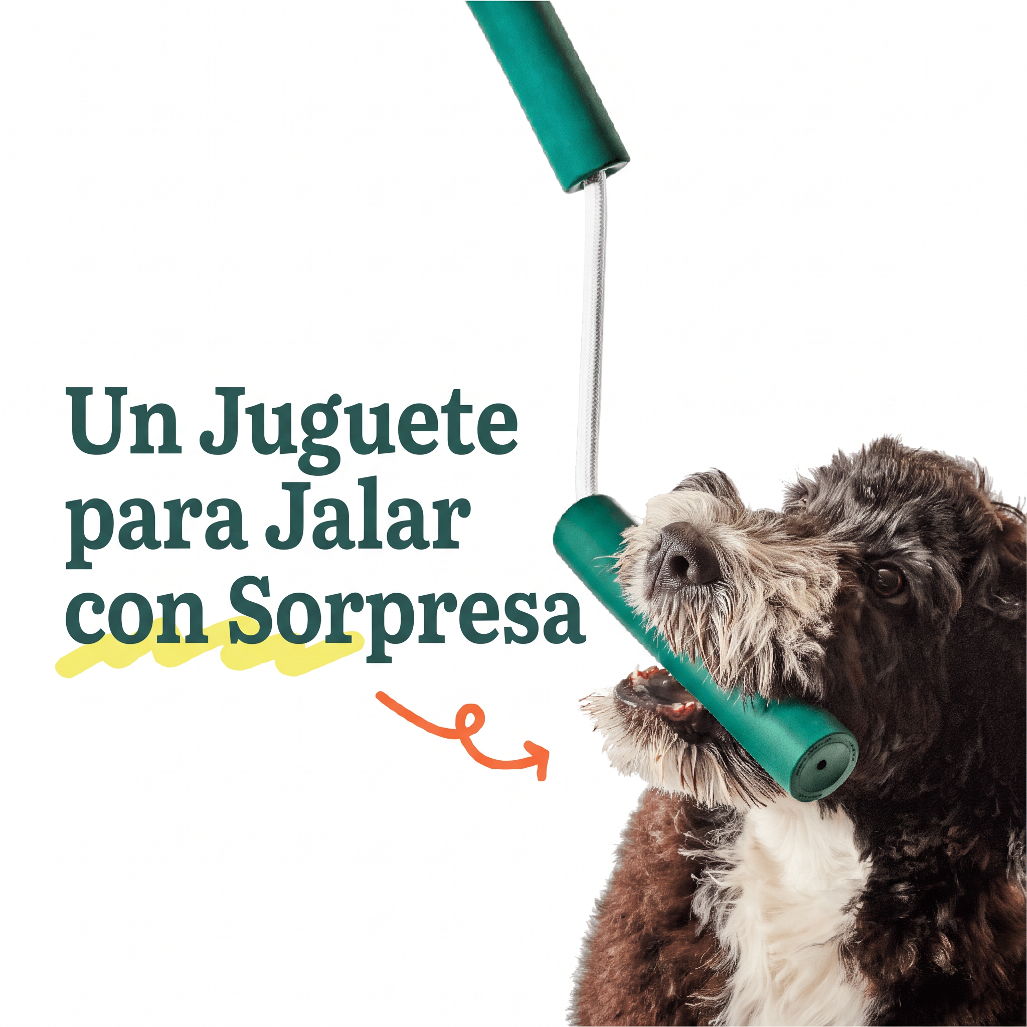 Perro jugando a jalar con los Nomchucks de Woof