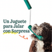 Perro jugando a jalar con los Nomchucks de Woof