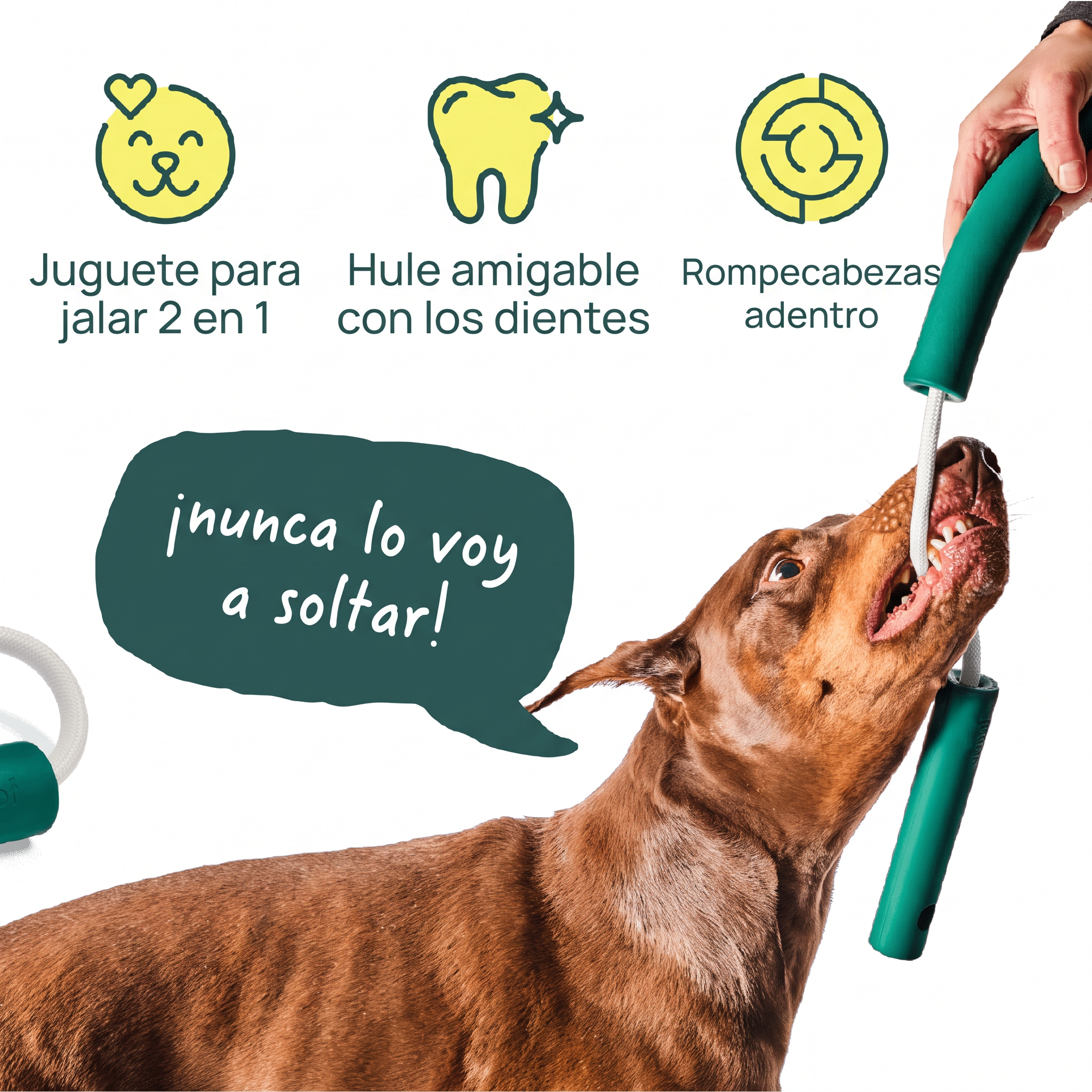 Nomchucks de Woof: juguete para jalar 2 en 1, hule amigable con los dientes y rompecabezas adentro