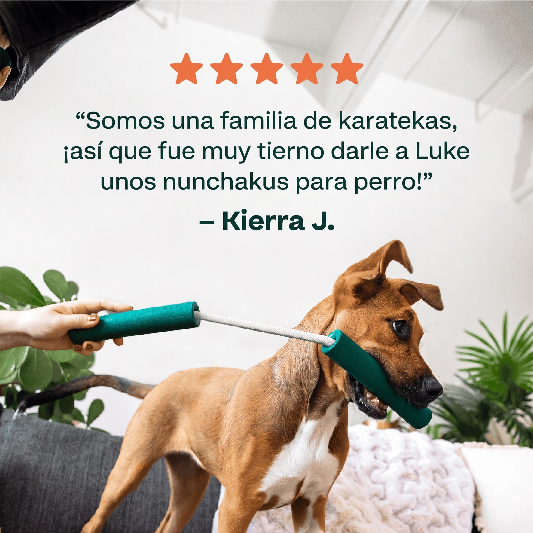 Reseña de 5 estrellas de los Nomchucks de Woof