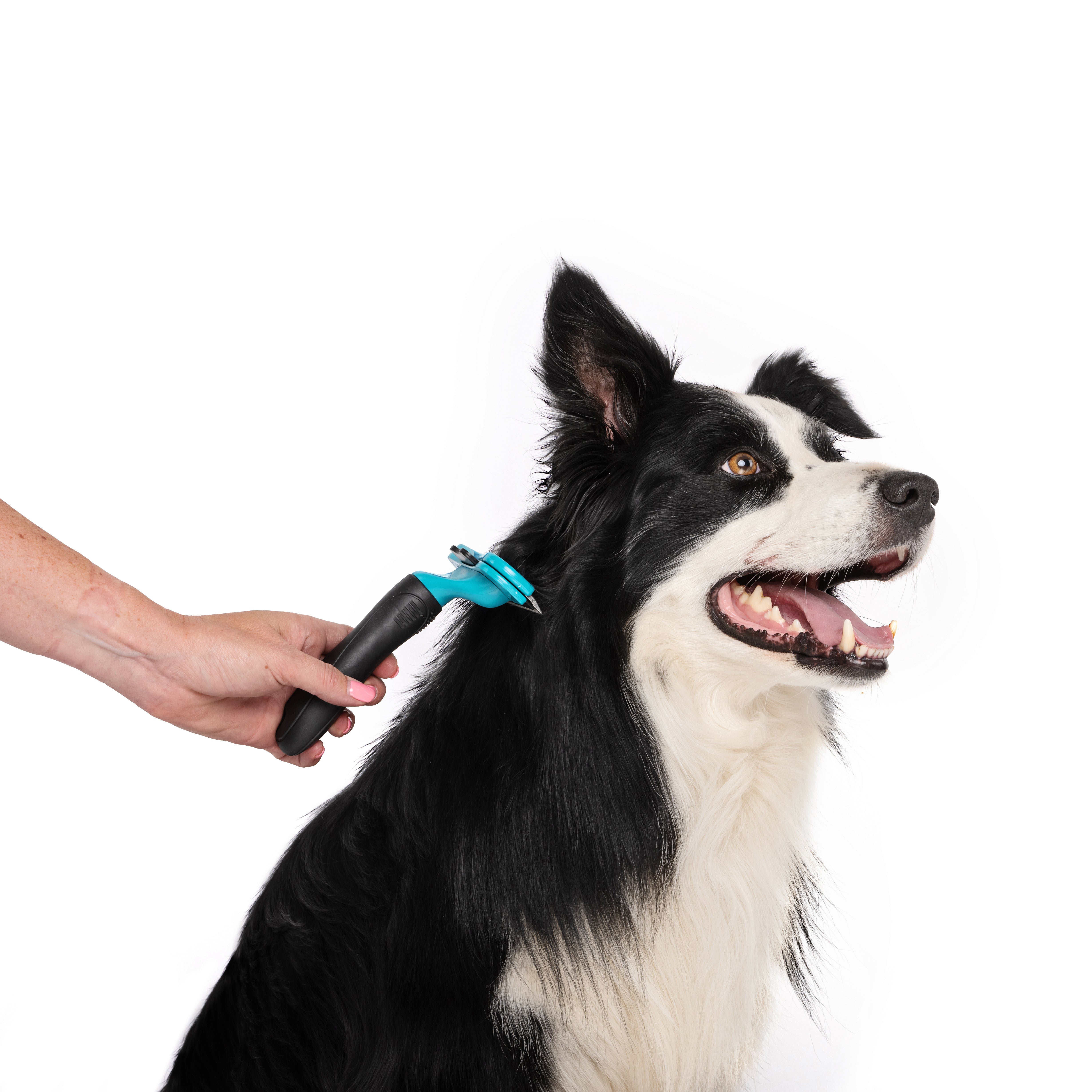 Cepillo Deslanador STYLUS con Botón Eyector para Perros | M‑PETS®
