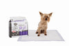 Tapetes Entrenadores con Aroma de Lavanda Natural – 5 Capas Relajantes Anti-Fugas | M‑PETS®