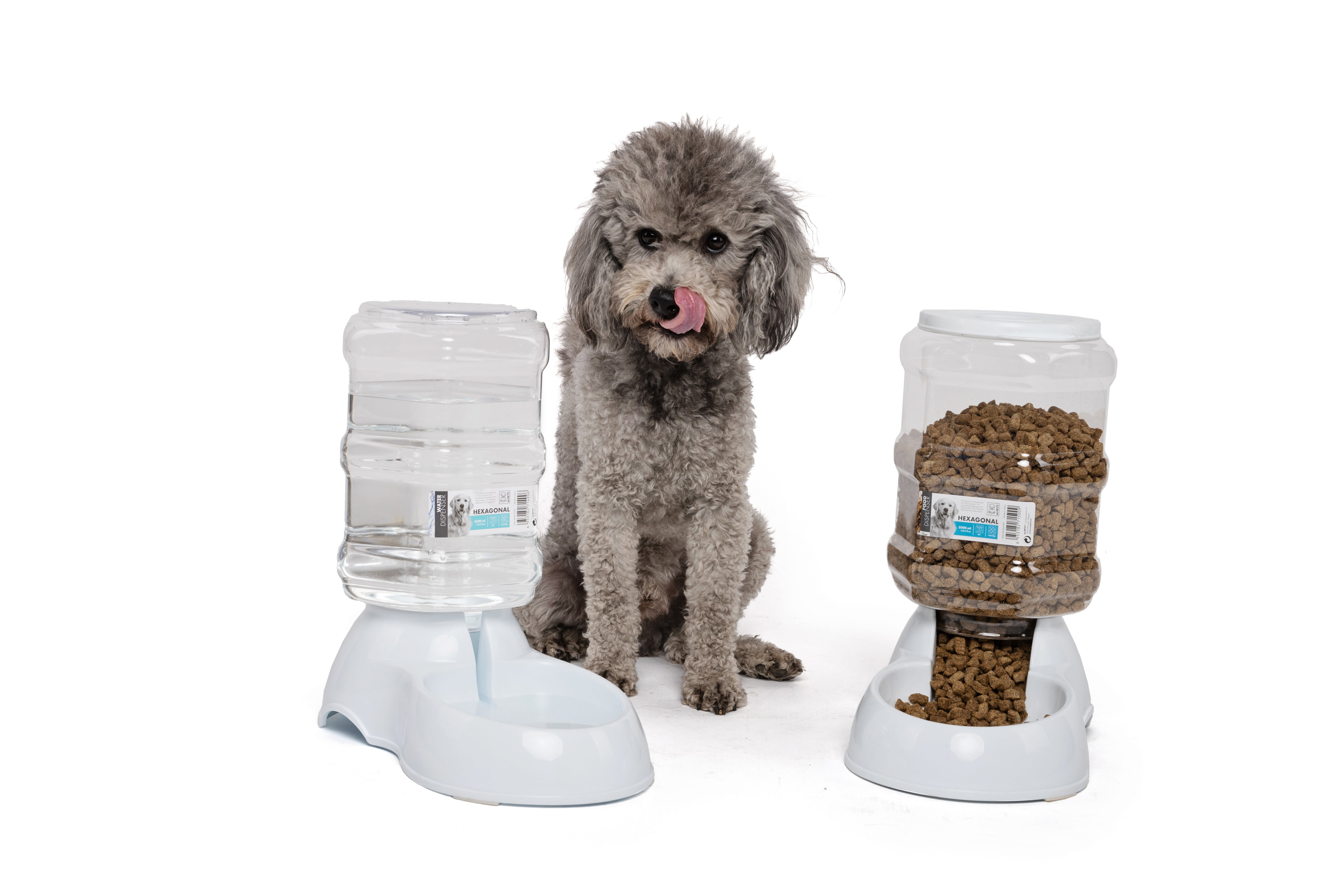 Dispensador de Alimento por Gravedad SAONE para Perros y Gatos | M‑PETS®